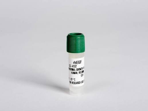 Epidermal Growth Factor (EGF)